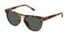 Picture of Kate Young For Tura Sunglasses K524