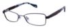 Picture of Ted Baker Eyeglasses B228
