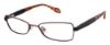 Picture of Ted Baker Eyeglasses B228