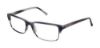 Picture of Ted Baker Eyeglasses B336