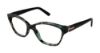 Picture of Ted Baker Eyeglasses B729