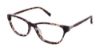 Picture of Ted Baker Eyeglasses B737