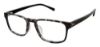 Picture of Ted Baker Eyeglasses B897UF
