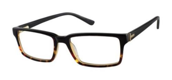 Picture of Ted Baker Eyeglasses B955