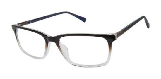 Picture of Ted Baker Eyeglasses BM012
