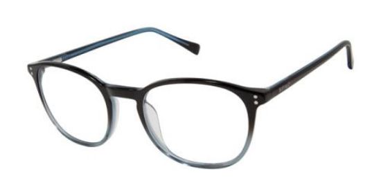 Picture of Ted Baker Eyeglasses BM013