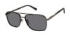 Picture of Ted Baker Sunglasses TBM077