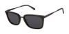 Picture of Ted Baker Sunglasses TBM079