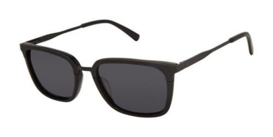 Picture of Ted Baker Sunglasses TBM079