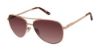 Picture of Ted Baker Sunglasses TBW146