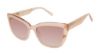 Picture of Ted Baker Sunglasses TWS163