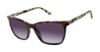 Picture of L.A.M.B. Sunglasses LA568