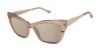 Picture of L.A.M.B. Sunglasses LA570