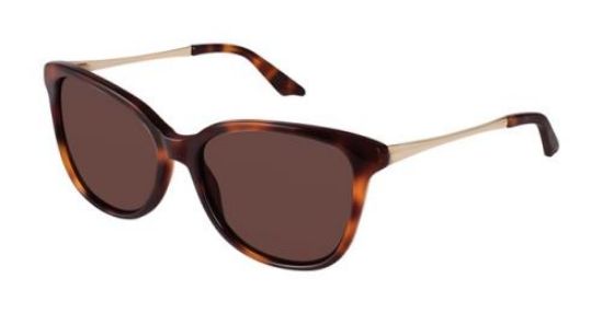 Picture of Brendel Sunglasses 916021