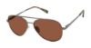 Picture of Buffalo David Bitton Sunglasses BMS004
