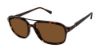 Picture of Buffalo David Bitton Sunglasses BMS007