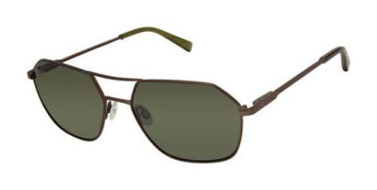 Picture of Buffalo David Bitton Sunglasses BMS008