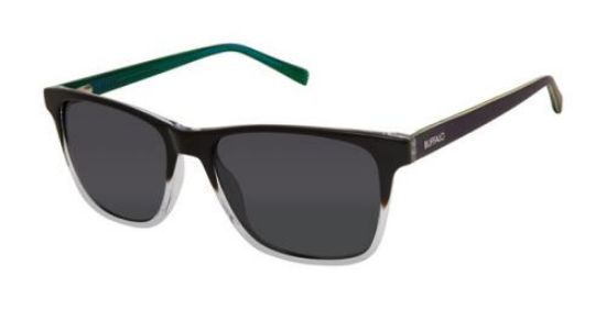 Picture of Buffalo David Bitton Sunglasses BMS009