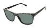 Picture of Buffalo David Bitton Sunglasses BMS009