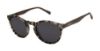 Picture of Buffalo David Bitton Sunglasses BMS010