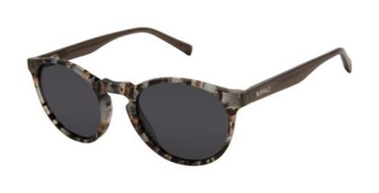 Picture of Buffalo David Bitton Sunglasses BMS010