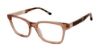 Picture of Buffalo David Bitton Eyeglasses BW005