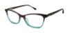 Picture of Buffalo David Bitton Eyeglasses BW009