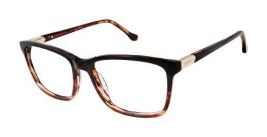 Picture of Buffalo David Bitton Eyeglasses BW010