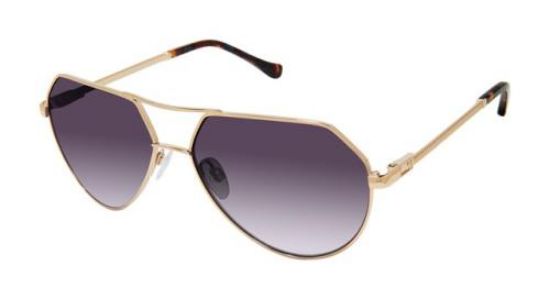 Picture of Buffalo David Bitton Sunglasses BWS008
