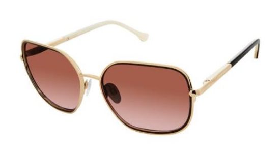 Picture of Buffalo David Bitton Sunglasses BWS009