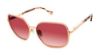 Picture of Buffalo David Bitton Sunglasses BWS009