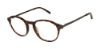 Picture of Geoffrey Beene Eyeglasses G532