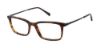 Picture of Buffalo David Bitton Eyeglasses BM003