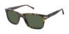 Picture of Ted Baker Sunglasses TBM025