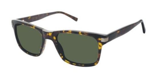 Picture of Ted Baker Sunglasses TBM025
