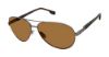 Picture of Buffalo David Bitton Sunglasses BMS001