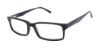 Picture of Ted Baker Eyeglasses BIO869