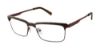 Picture of Ted Baker Eyeglasses B351