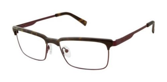 Picture of Ted Baker Eyeglasses B351