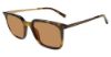 Picture of John Varvatos Sunglasses V521