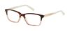 Picture of Ted Baker Eyeglasses TPW006