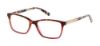 Picture of Ted Baker Eyeglasses TPW006