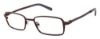 Picture of Ted Baker Eyeglasses B331