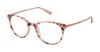 Picture of Ted Baker Eyeglasses B749