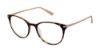 Picture of Ted Baker Eyeglasses B749