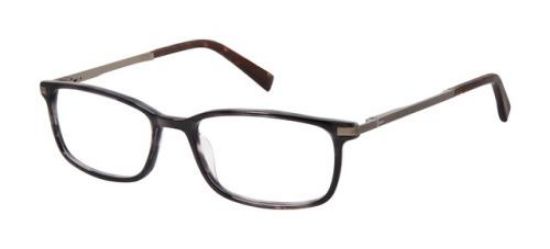 Picture of Ted Baker Eyeglasses TFM002