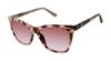Picture of L.A.M.B. Sunglasses LA555