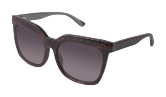Picture of L.A.M.B. Sunglasses LA511