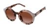 Picture of L.A.M.B. Sunglasses LA561