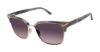 Picture of L.A.M.B. Sunglasses LA567